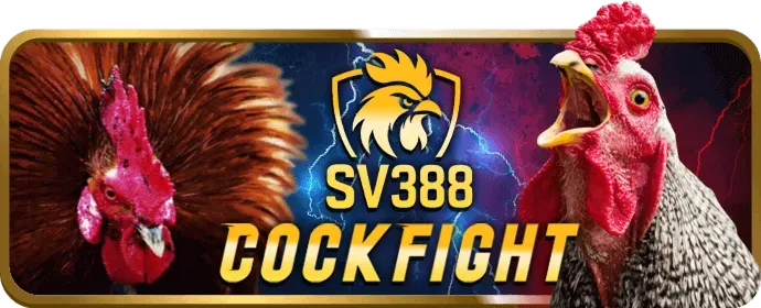 Chiến lược chơi Blackjack tại vn666 casino