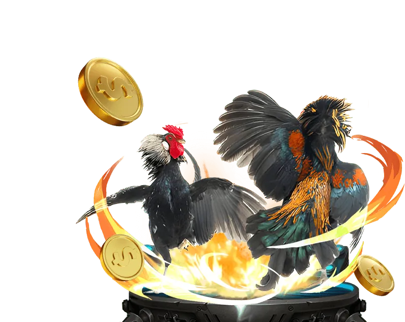 Liên hệ với đội ngũ hỗ trợ của vn666 casino về chính sách bảo mật